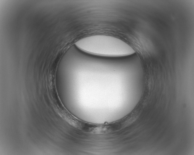 X0000080140366200612081032