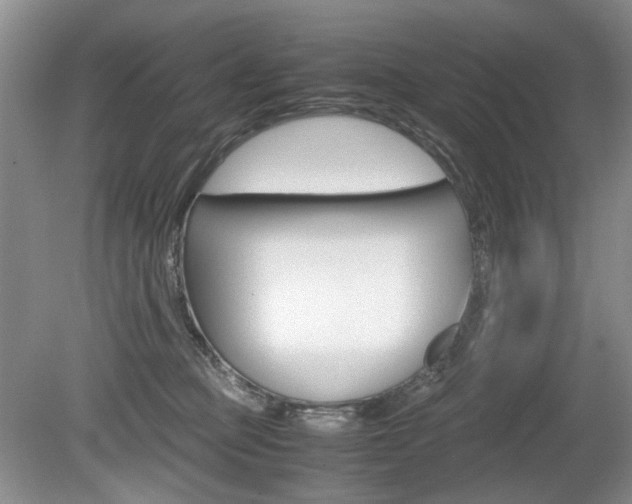 X0000080140373200612081032