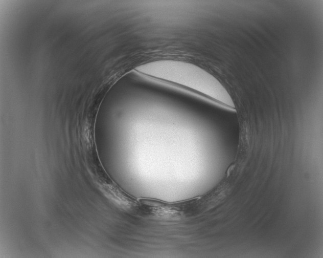 X0000080140380200612081033