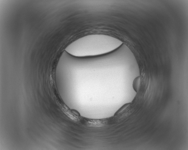 X0000080140381200612081033