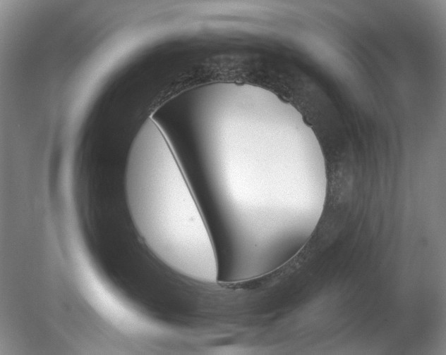 X0000080140383200612081033