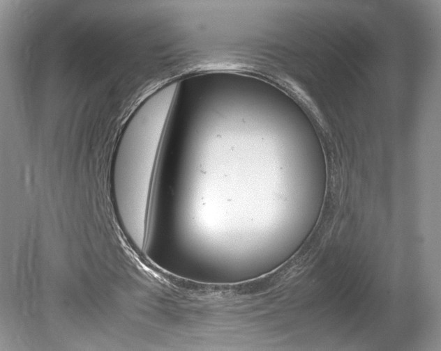 X0000080140385200612081032