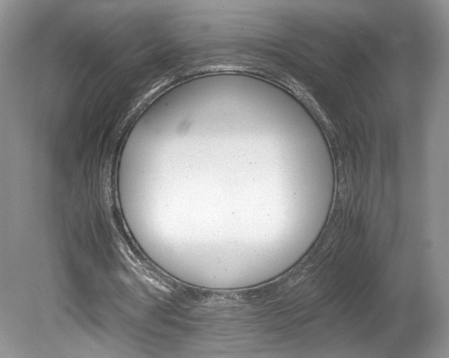 X0000080140386200612081032