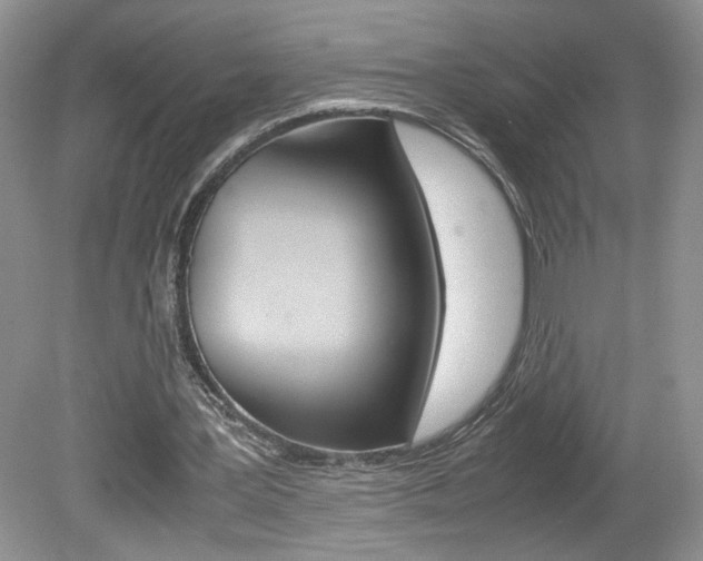 X0000080140387200612081032
