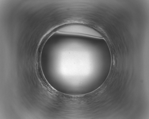 X0000080140388200612081032