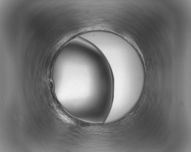 X0000080140389200612081032