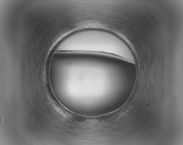 X0000080140391200612081032