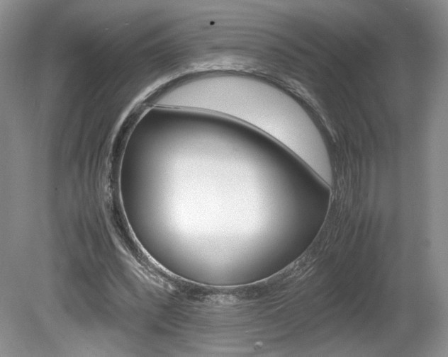 X0000080140392200612081032