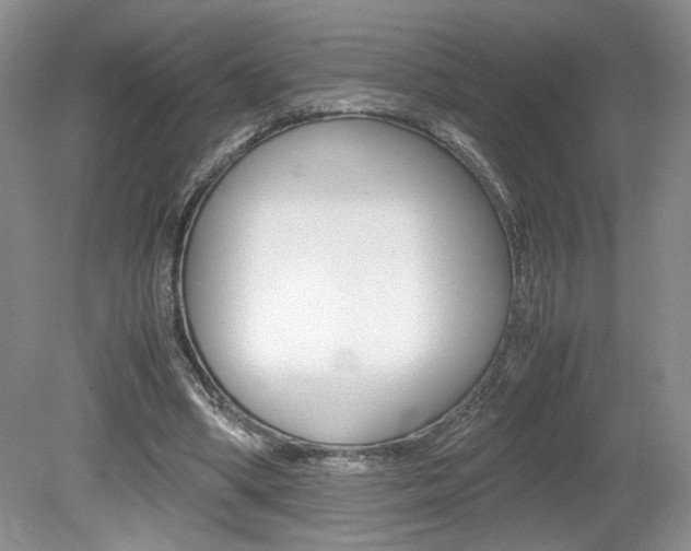 X0000080140394200612081032