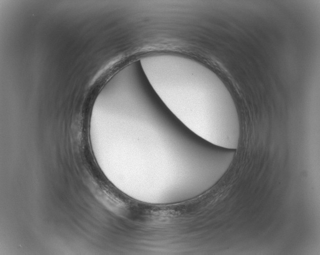 X0000080140396200612081032