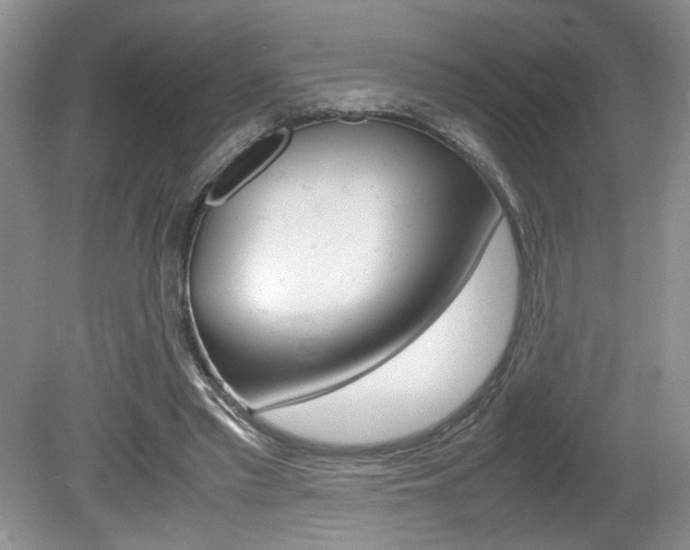X0000080140397200612081032