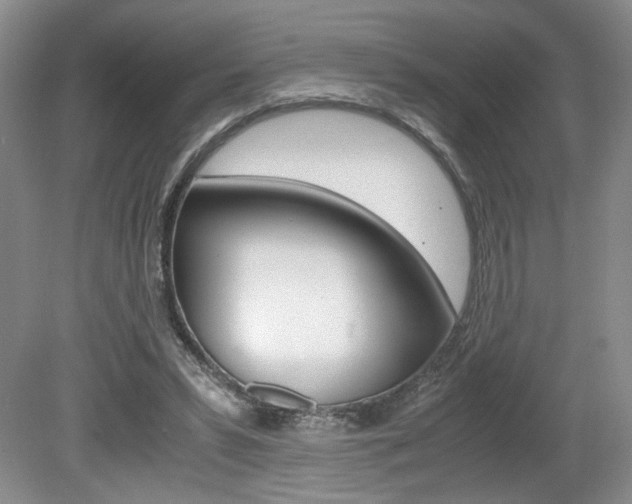 X0000080140399200612081032