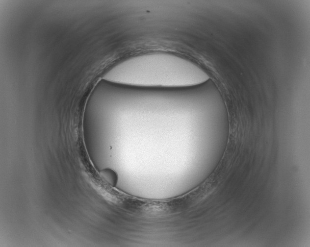 X0000080140402200612081032