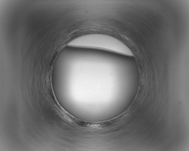 X0000080140409200612081031