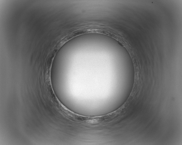 X0000080140411200612081031