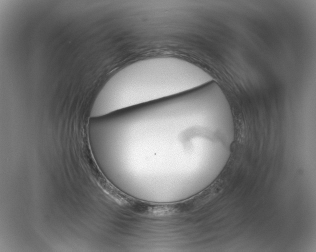 X0000080140414200612081031