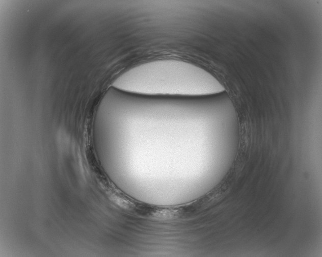 X0000080140422200612081031