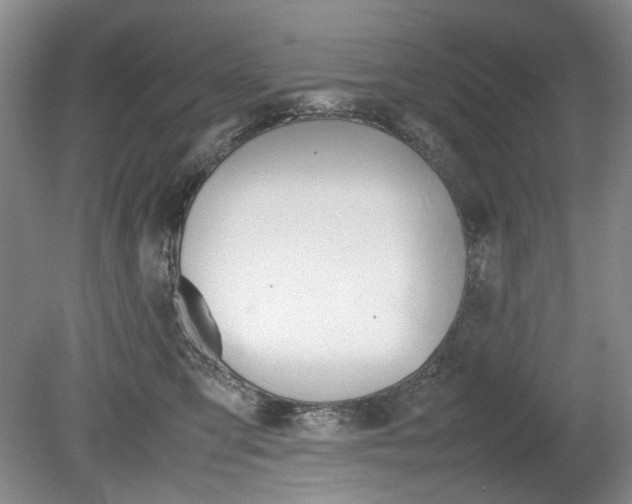 X0000080140423200612081031