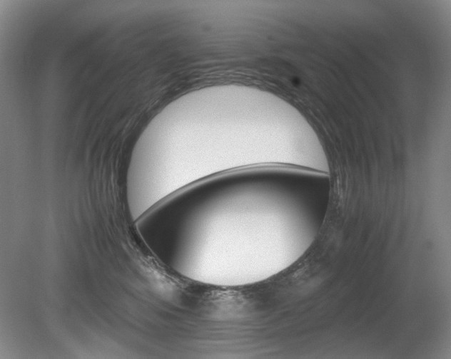 X0000080140424200612081031