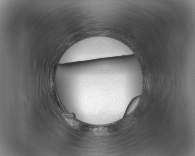 X0000080140426200612081031