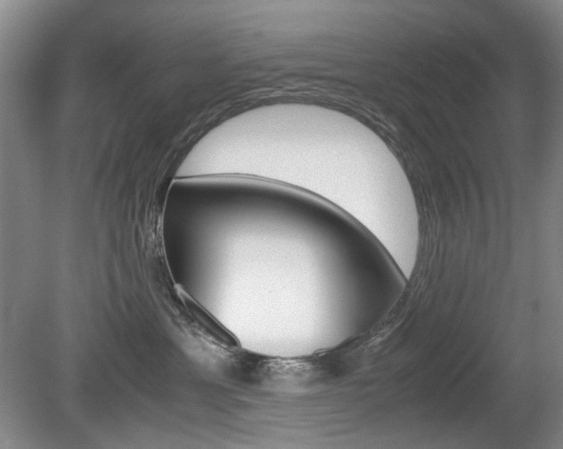 X0000080140429200612081031