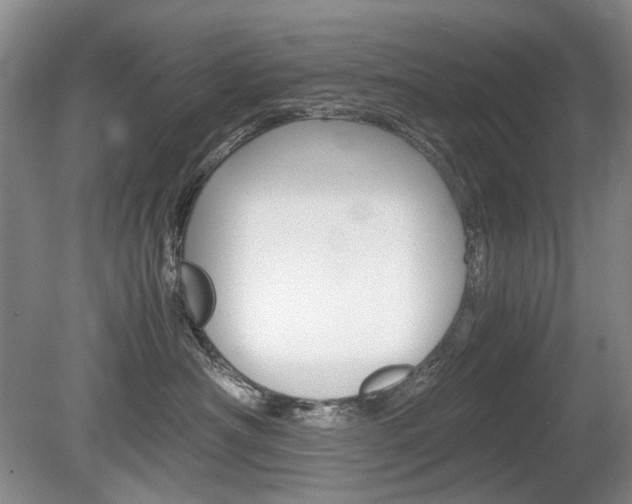 X0000080140430200612081031