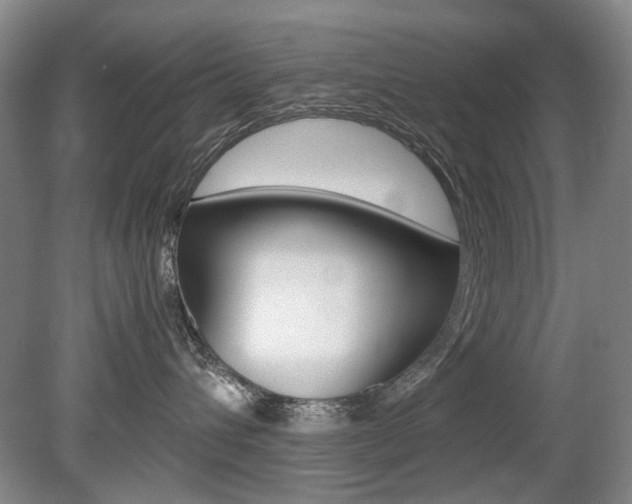 X0000080140432200612081031