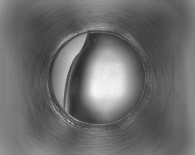 X0000080140434200612081030