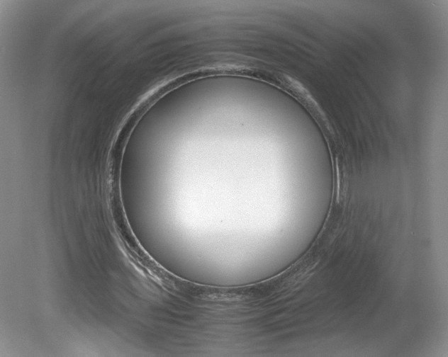 X0000080140435200612081030