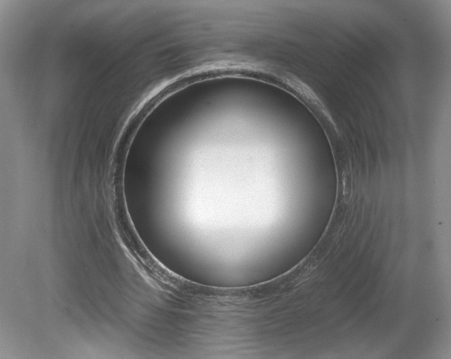 X0000080140436200612081030