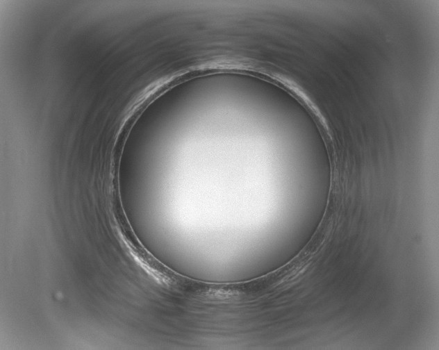 X0000080140437200612081030