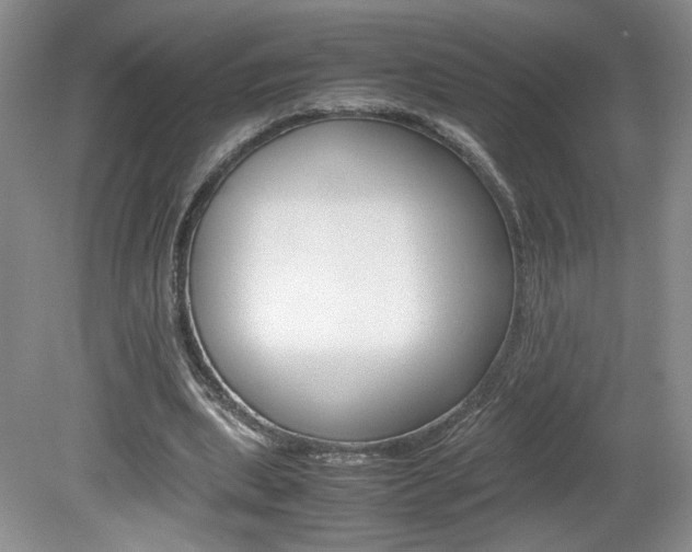 X0000080140439200612081030