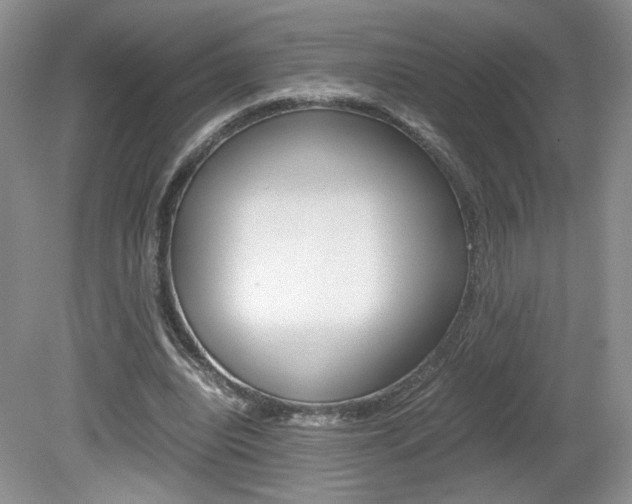 X0000080140440200612081030