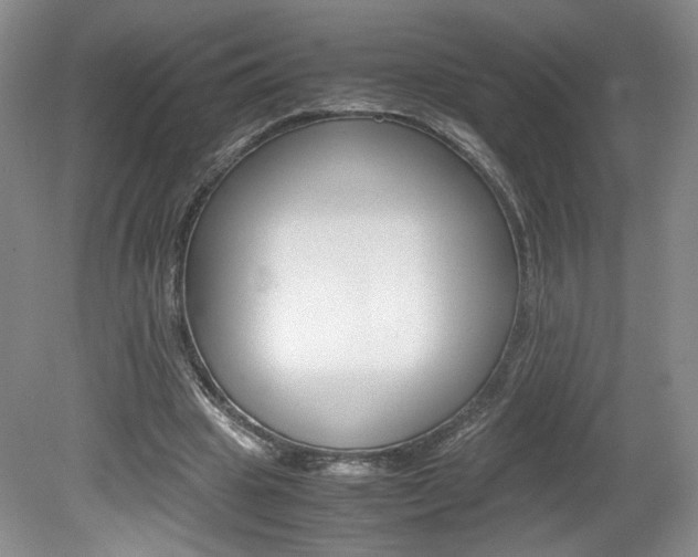 X0000080140441200612081030