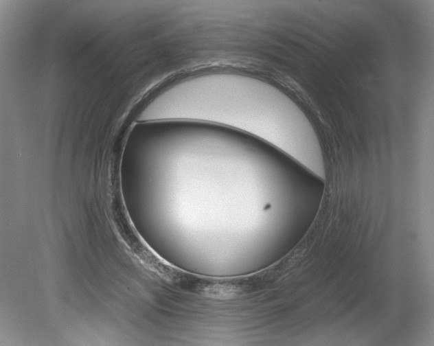 X0000080140444200612081030