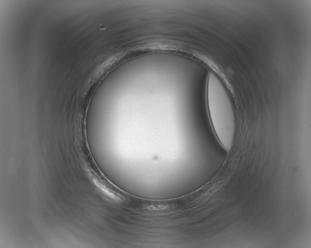 X0000080140445200612081030