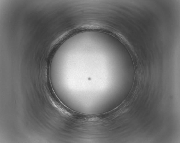 X0000080140446200612081030