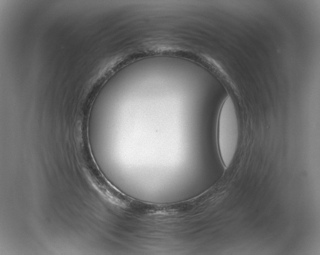 X0000080140447200612081030