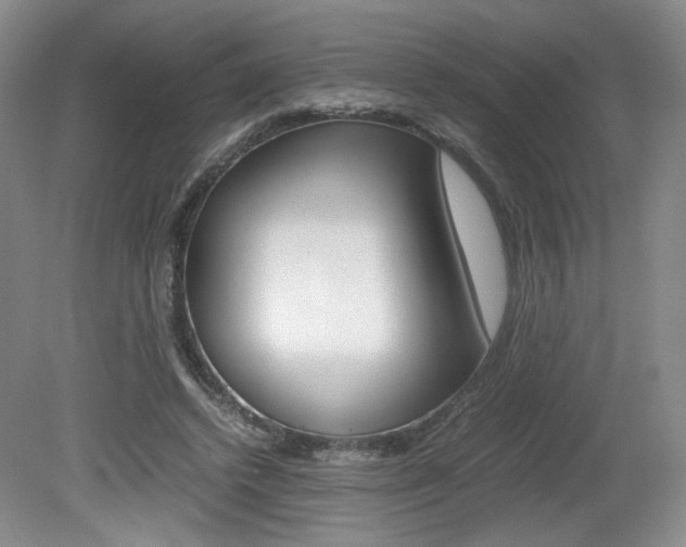 X0000080140448200612081030