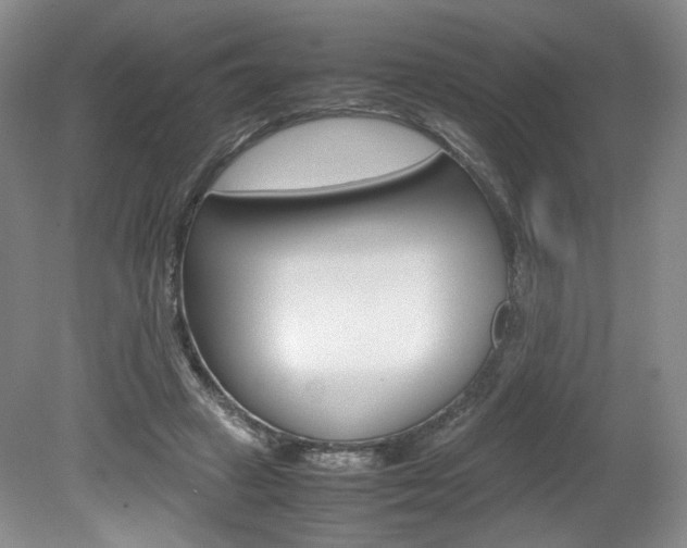 X0000080140449200612081030