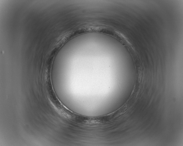 X0000080140451200612081031