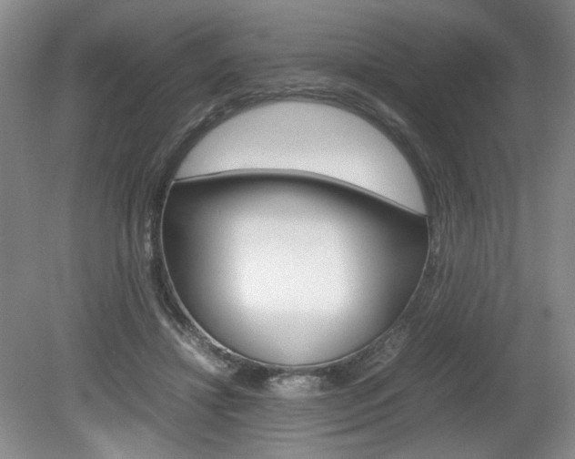 X0000080140452200612081031