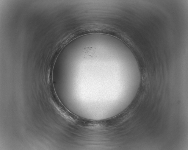 X0000080140454200612081031