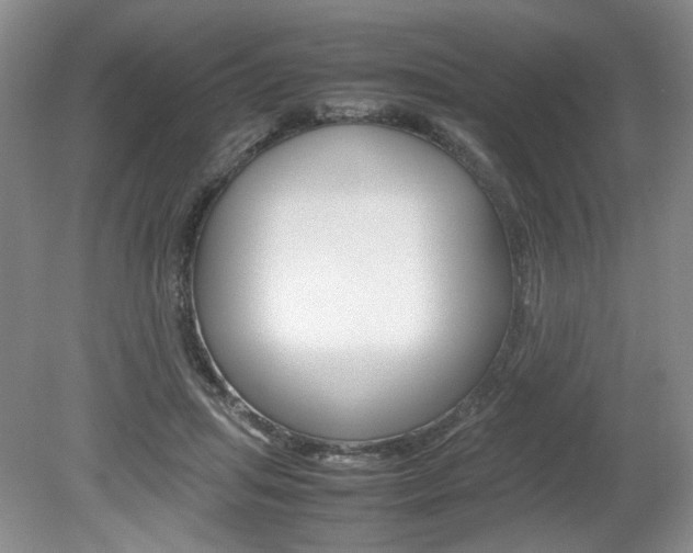 X0000080140455200612081031