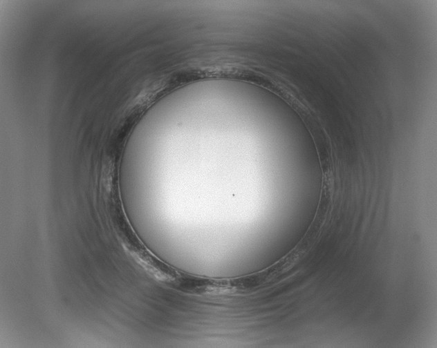 X0000080140458200612081031