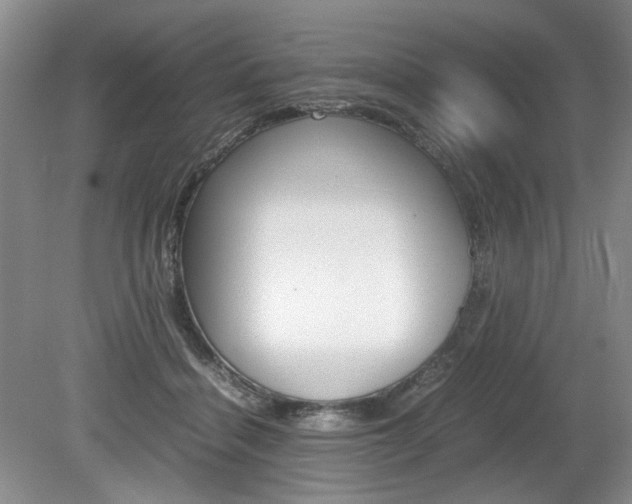 X0000080140460200612081031