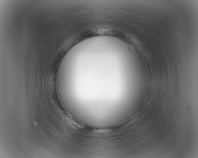 X0000080140461200612081031