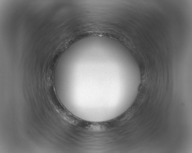 X0000080140464200612081031