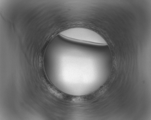 X0000080140470200612081031