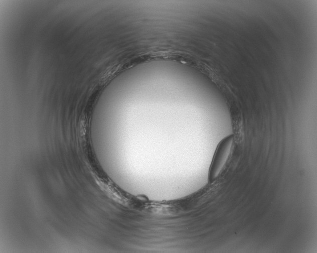 X0000080140472200612081031